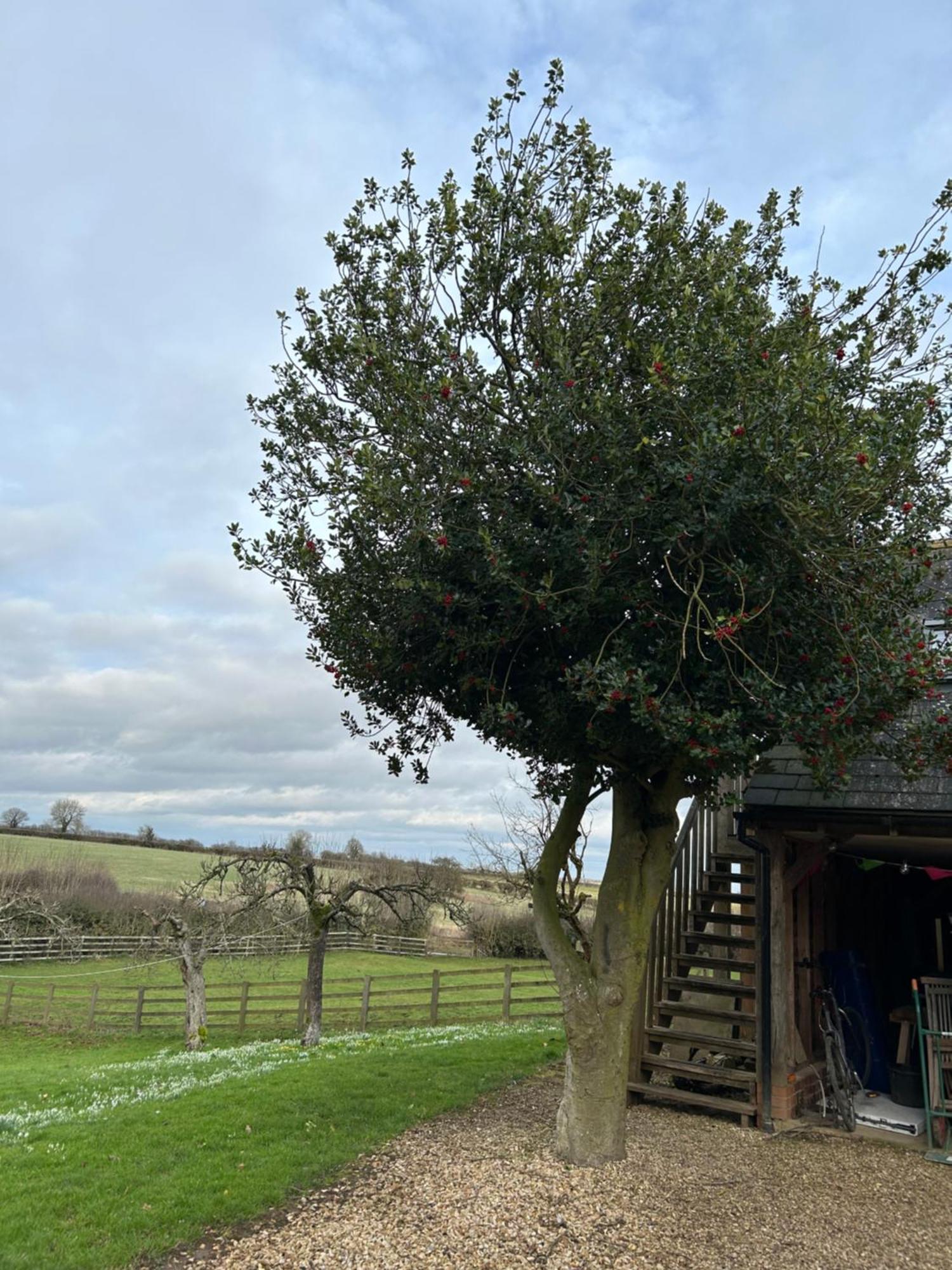 The Studio, Bottom Farm Bed and Breakfast Grantham Exteriör bild